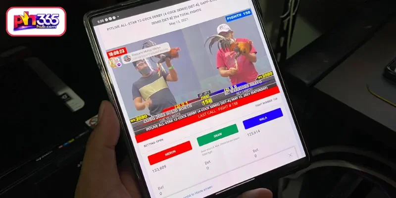 Effective Strategies for Winning in Sabong Live Today