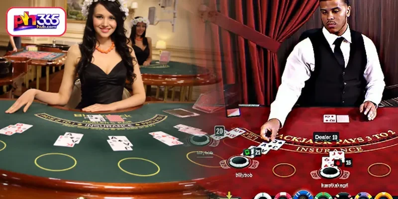 Highest-Rated Live Dealer Titles on PH365