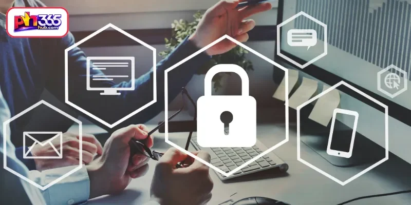 PH365 Privacy Policy: Data Collection Practices and Transparency Standards