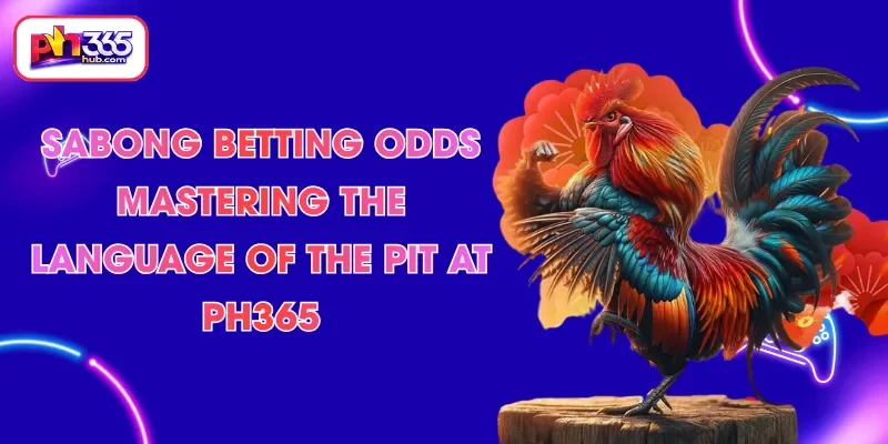 sabong-betting-odds-mastering-the-language-of-the-pit-at-ph365